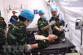 Partage des expériences dans le maintien de la paix entre la Russie et le Vietnam