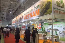 Vietnam et Russie visent un chiffre d’affaires bilatéral de 10 milliards de dollars vers 2020