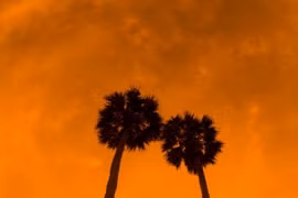 Découvrir la beauté cachée du Vietnam et de son peuple