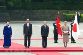 Entrevue entre le président Trân Dai Quang et l’empereur Akihito