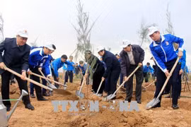 Lancement du Mois des jeunes et la fête de plantation d’arbres 2018