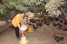 Hanoï: des changements miraculeux au sein des ethnies minoritaires