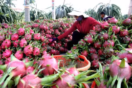 1er trimestre: hausse spectaculaire des exportations nationales vers la Chine