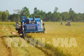 Surmonter des barrières techniques pour exporter des produits agricoles vers l’Europe