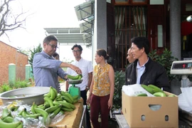 Lam Dong exporte des bananes Laba vers le Japon