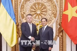 Vietnam-Ukraine : consultation politique au niveau vice-ministériel 