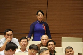 Les députés de l’AN saluent la séance de questions-réponses des ministres et vice-PM