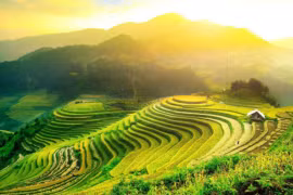 Sur la route des rizières en terrasses à valeur patrimoniale