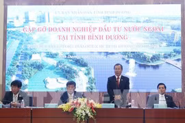 Dialogue avec des entreprises à participation étrangère à Binh Duong