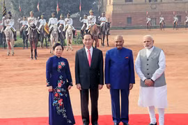 Visite d'Etat du président Tran Dai Quang en Inde