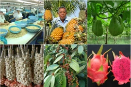 IGP: Vietnam au 2e rang des pays Sud-Est asiatiques ayant le plus de produits agricoles protégés