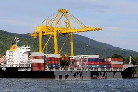 Les efforts de la ville Da Nang pour développer l’économie maritime
