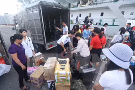 Tet traditionnel : visites à la plate-forme DK1 et à Con Dao