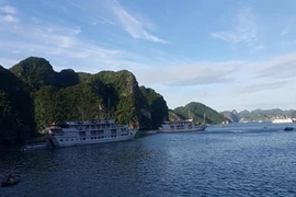 Quang Ninh accueille près de 6,6 millions de touristes en cinq mois