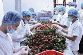 Exportations de fruits et légumes en forte hausse