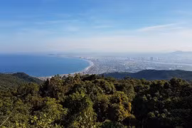 Dà Nang est devenu ville verte du Vietnam de 2018