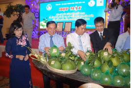 Deux produits agricoles de Bên Tre enregistrés en tant qu'indication géographique
