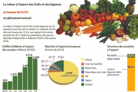 La valeur à l’export des fruits et des légumes en hausse de 15,5% en glissement annuel