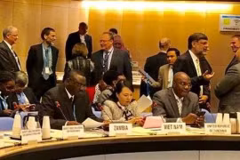 La ministre vietnamienne de la Santé assiste à la 142e réunion du Conseil exécutif de l’OMS