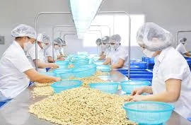 La valeur d’exportations de Dong Nai connaît une forte hausse en janvier