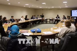 ONU : le groupe des amis de la prévention et de la lutte contre la noyade voit le jour