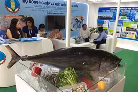 Les exportations du thon du Vietnam vers l’Asie et le Proche-Orient en forte hausse