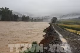 Les crues provoquent des dégâts humains et matériels dans plusieurs localités