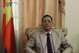 Les relations Vietnam - Égypte entrent dans une nouvelle période