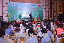 La fête d'échange culturel Vietnam-Japon 2018 à Da Nang