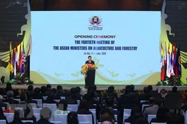 Saisir des opportunités pour promouvoir le secteur agro-sylvicole de l’ASEAN