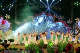 Ouverture de la fête de la fleur de bauhinie 2018 à Dien Bien