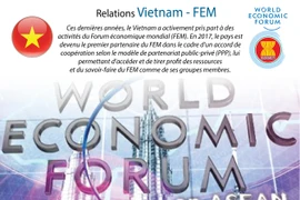 Les relations Vietnam - FEM en infographie