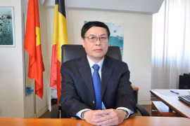 Vietnam-Belgique: Porter les relations bilatérales à une nouvelle hauteur 