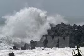 Le PNUD et le Japon aident les écoliers du Vietnam à mieux faire face aux catastrophes naturelles