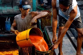 Indonésie : la production d’huile de palme brute atteindrait 40-42 milliards de tonnes cette année