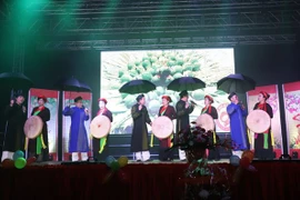 La communauté des Vietnamiens en Allemagne et en Malaisie fête le Têt 2018