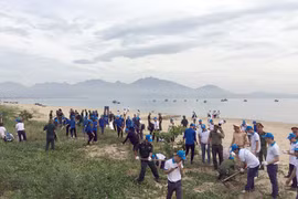 Œuvrer ensemble pour protéger des océans