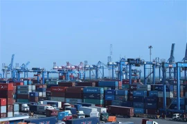 Forte croissance des exportations nationales de noix de cajou