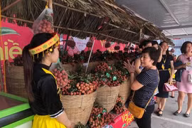 Semaine des litchis "Thieu" de Luc Ngan à Hanoï