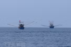 Les efforts du Vietnam pour faire retirer le "carton jaune"