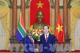 Le président Tran Dai Quang reçoit les ambassadeurs sud-africain et égyptien
