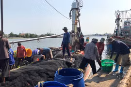 Travailleurs migrants pour la pêche: la Thaïlande coopérera avec les pays voisins