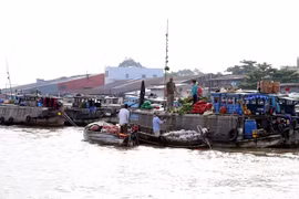 Can Tho comptabilise 1,8 million de touristes en deux mois 