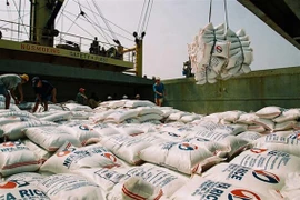 Riz et produits aquatiques : les exportations au deuxième semestre seraient optimistes