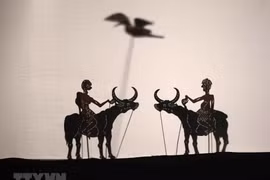 Belles images du 5e Festival international des marionnettes à Hanoï