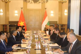 Le Vietnam et la Hongrie boostent leur coopération dans les domaines de la TIC