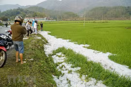 Déluge de grêlons dans les rizières et jardins de Dien Bien 
