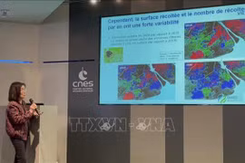 Une scientifique « Viet kieu » en France contribue à la riziculture dans le delta du Mékong