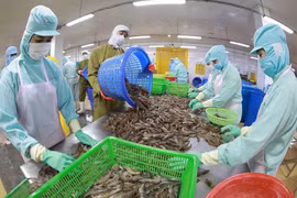 Les exportations de produits aquatiques devraient rencontrer des difficultés au troisième trimestre