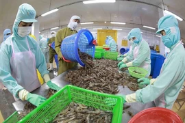Les exportations de produits aquatiques devraient rencontrer des difficultés au troisième trimestre